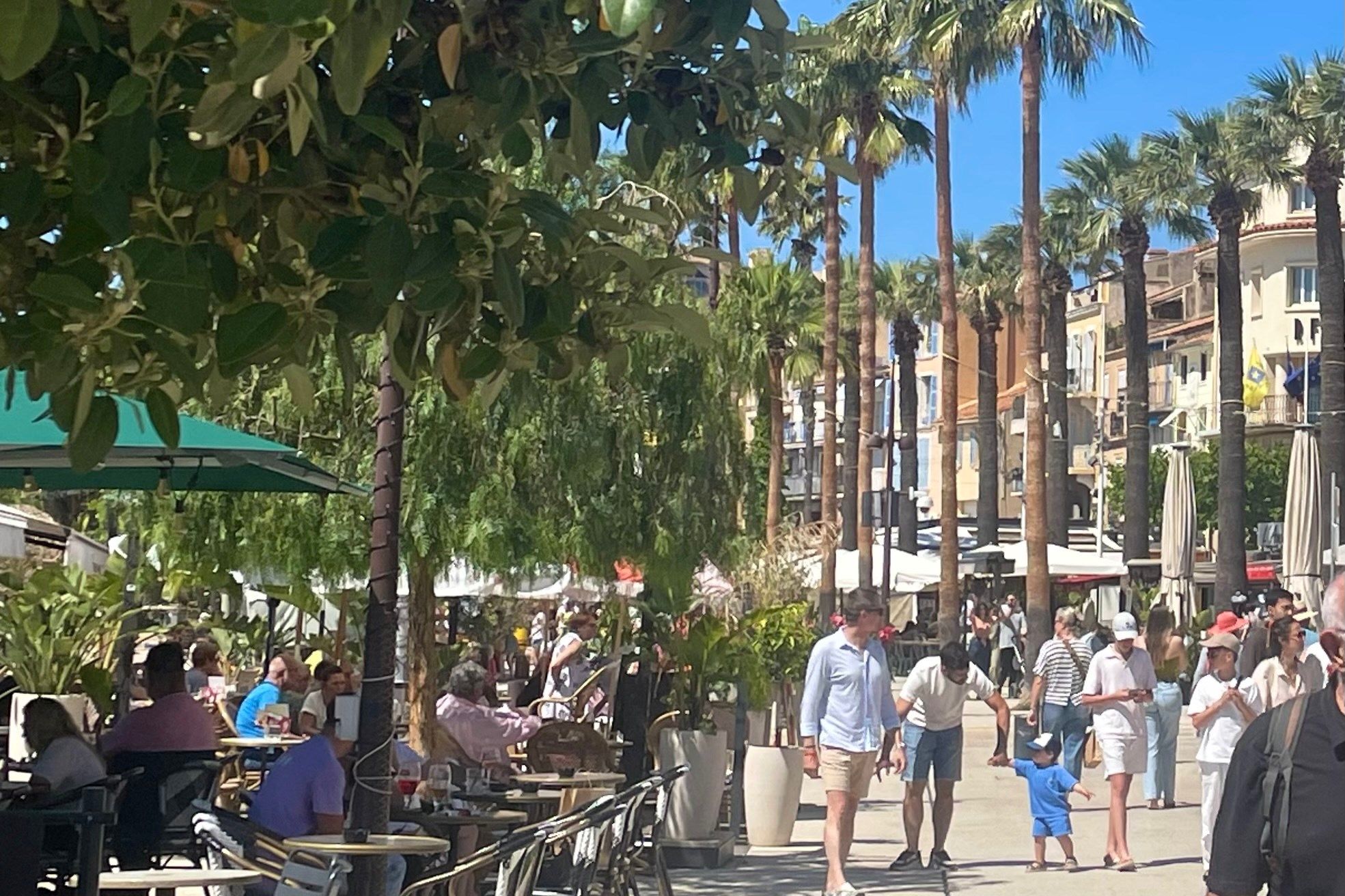 maison 6 Pièces en vente sur BANDOL (83150)