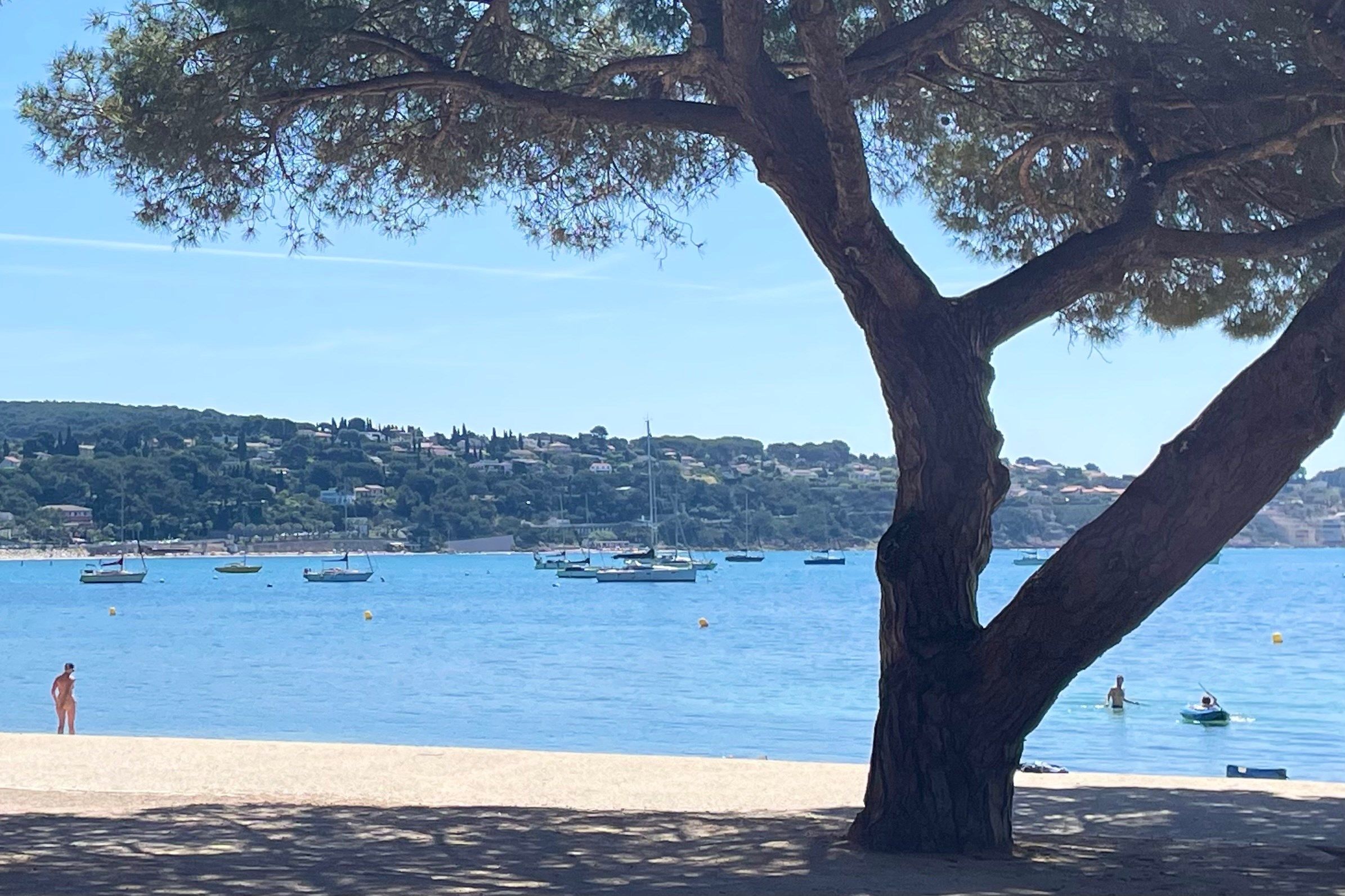 maison 6 Pièces en vente sur BANDOL (83150)