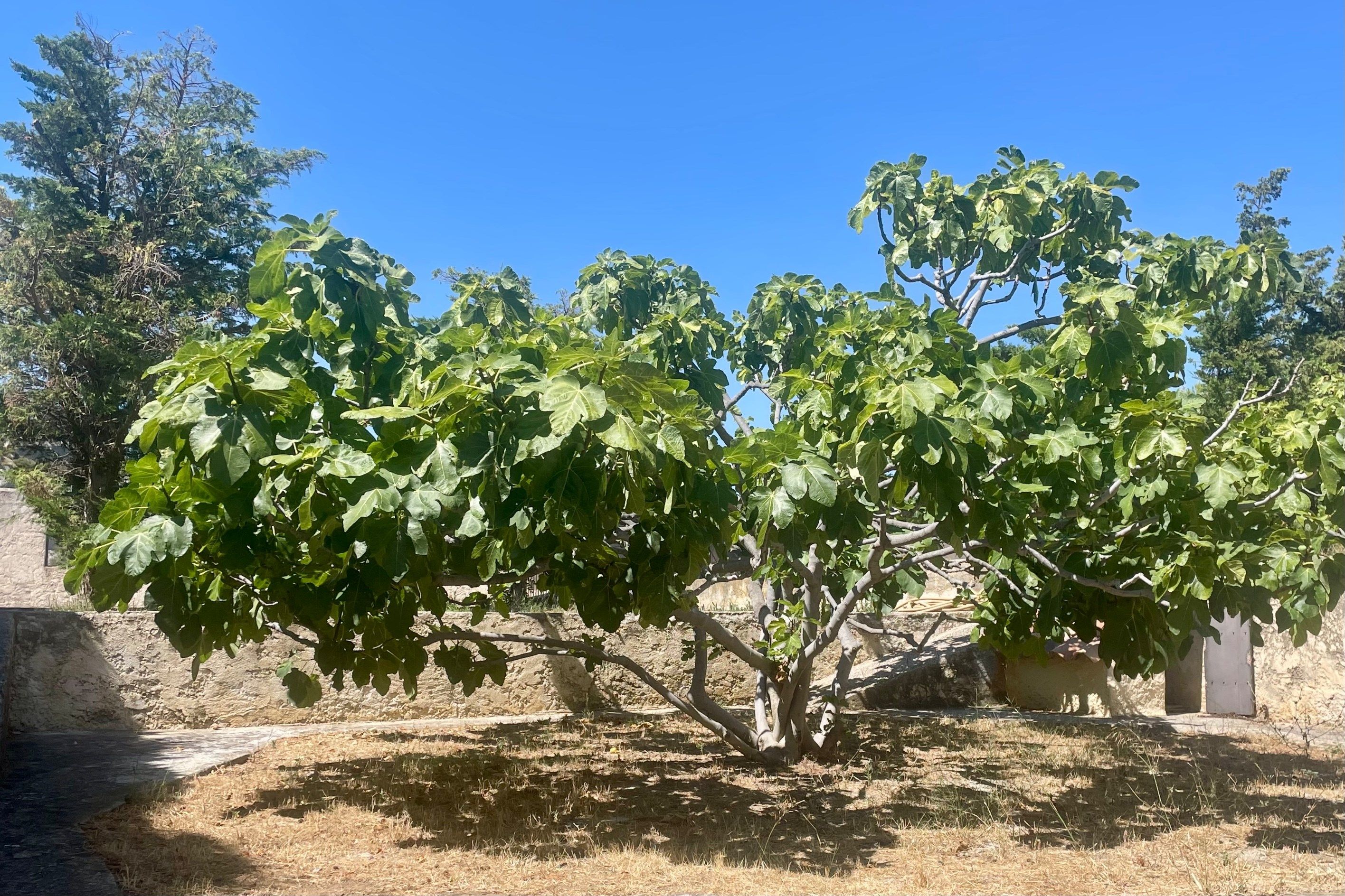 maison 9 Pièces en vente sur CASSIS (13260)