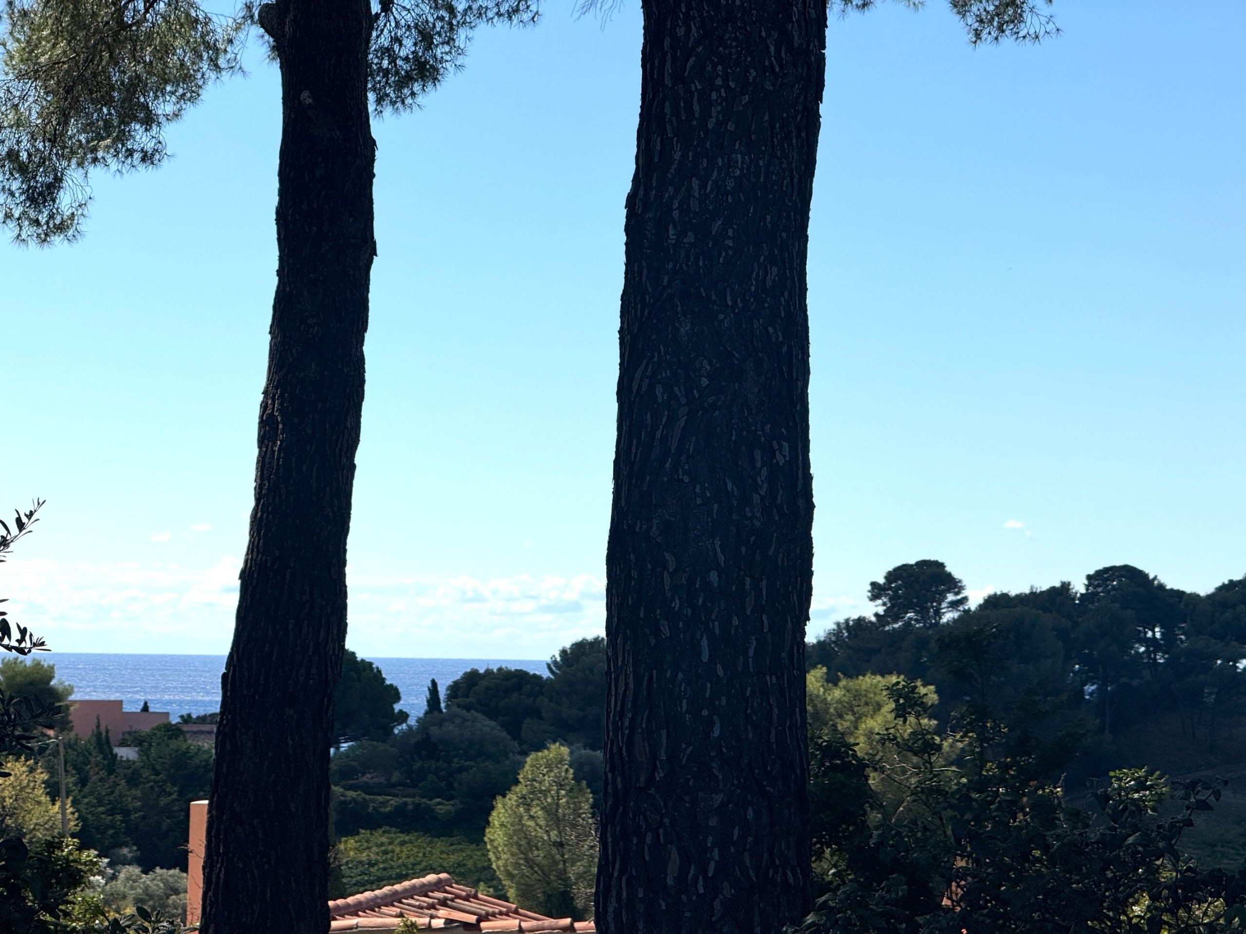 house 9 Rooms for sale on CASSIS (13260)