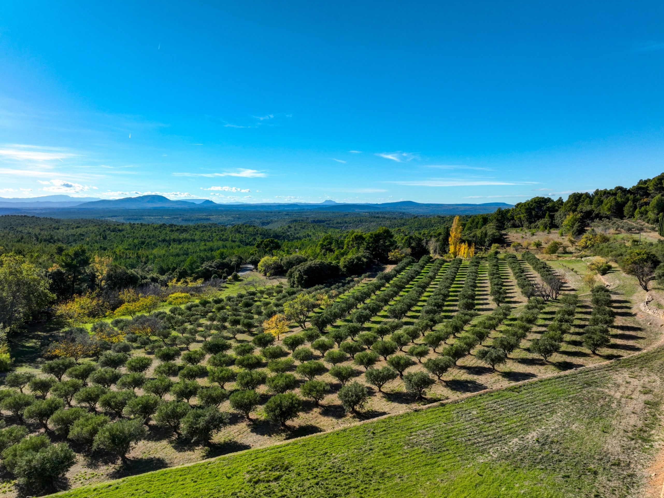 property 14 Rooms for sale on AUPS (83630) Sale Property Aups 14 Rooms 400 m²