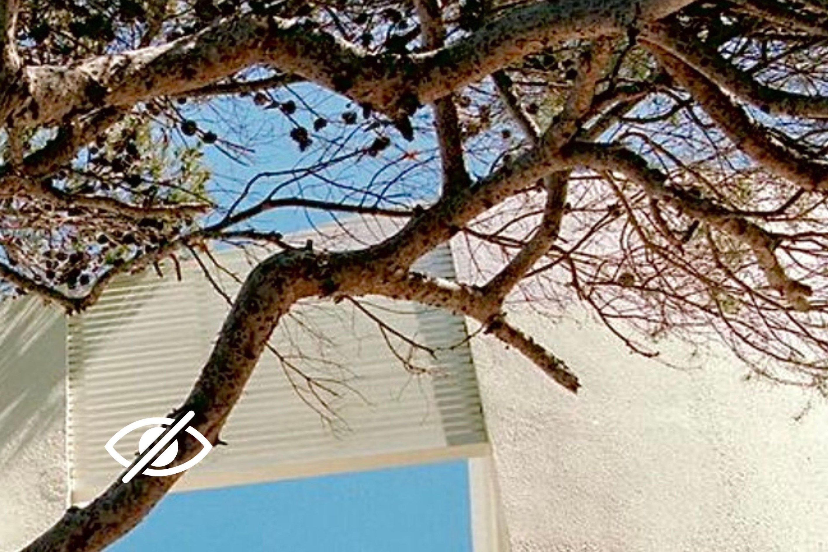 Vente Propriété Grimaud 13&nbsp;Pièces 405&nbsp;m²