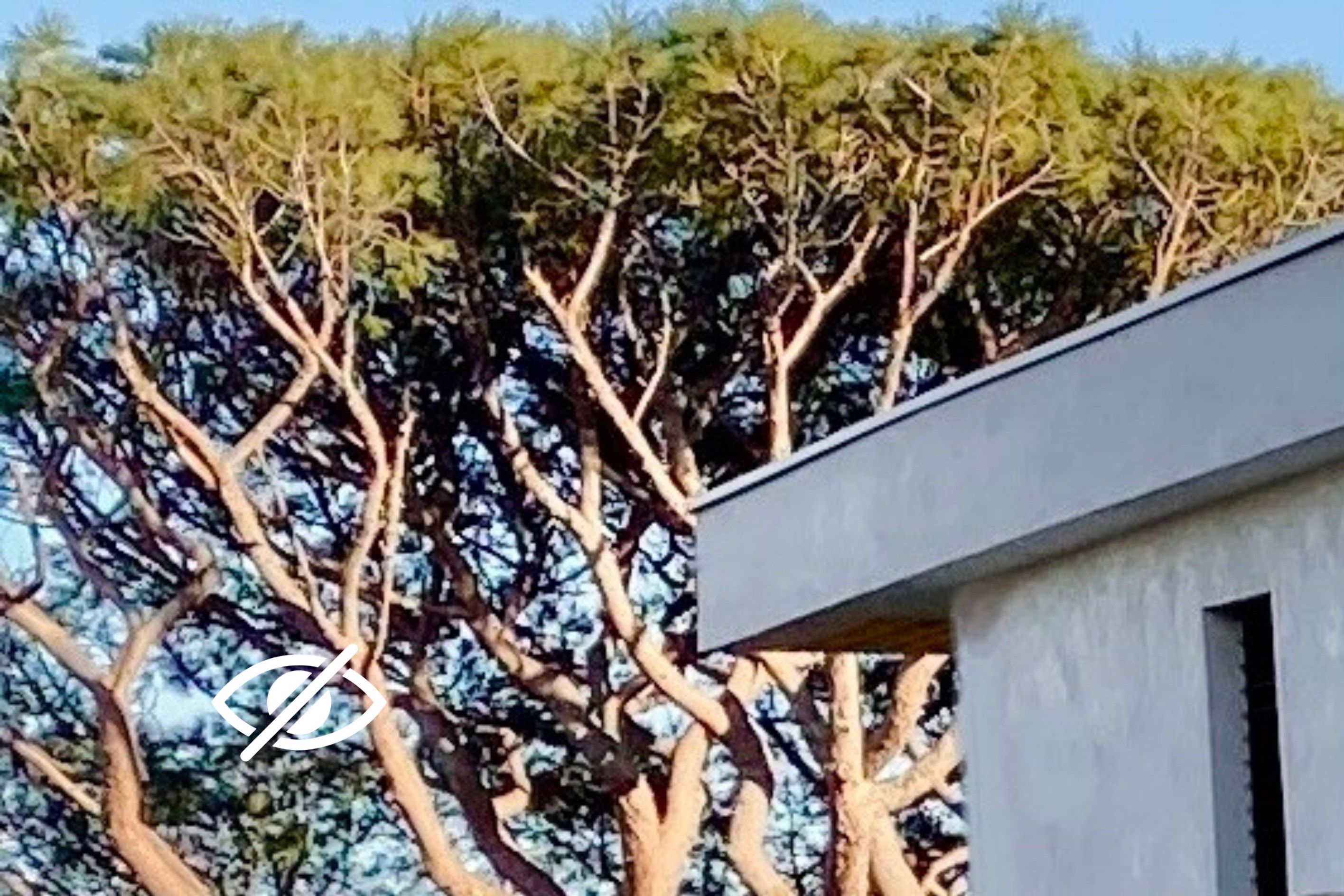 Vente Maison contemporaine Sainte-Maxime 10&nbsp;Pièces 500&nbsp;m²