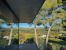 Sale House Cassis 5 Rooms 335 m²