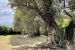 Vente Maison Saint-Tropez 17 Pièces 1000 m²